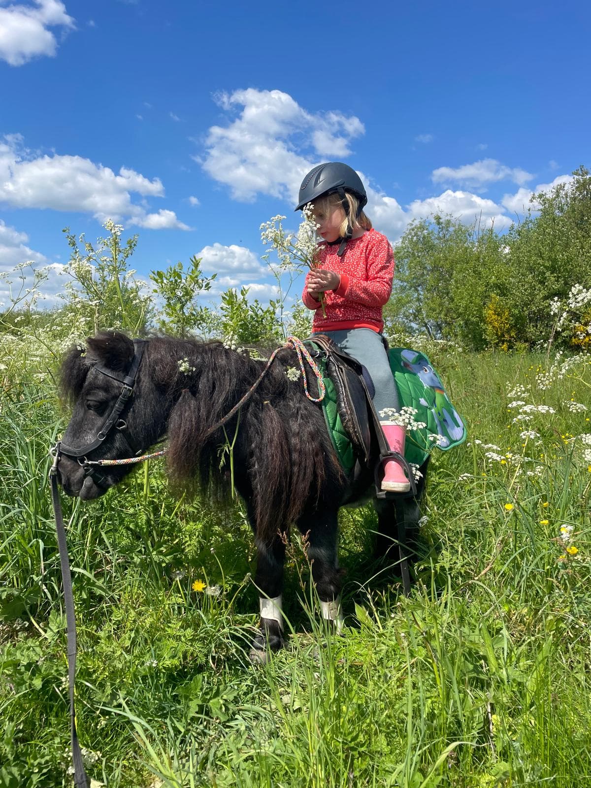 Prins, pony van De Weperstal